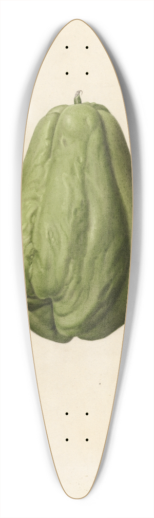 Royal Charles Steadman - Sechium edule 39.3 inch art pintail longboard deck