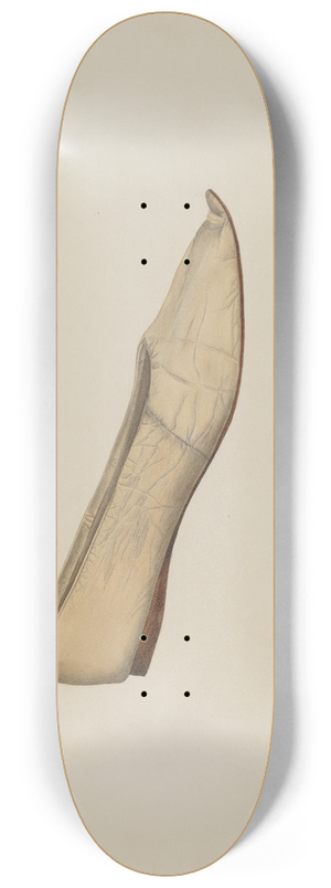 Daniel Marshack - Slipper 8.25 inch art skate deck