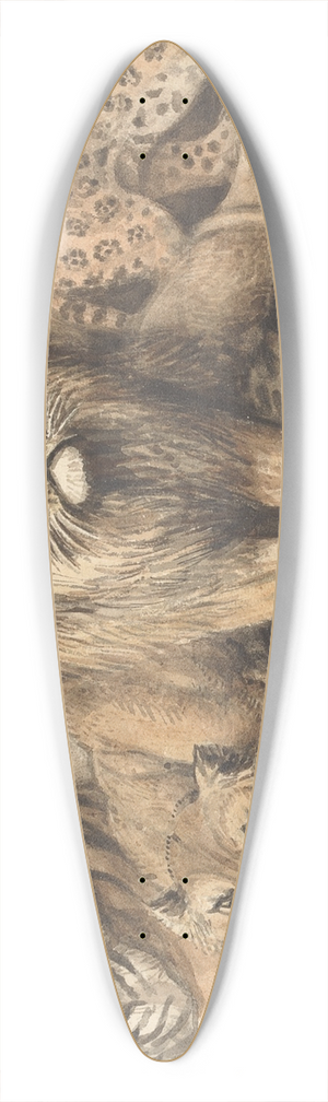 Samuel Howitt - Animals of the Cat Family, with a Bear and Foxes 39.3 inch art pintail longboard deck
