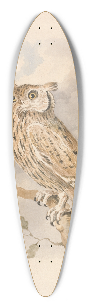 Samuel Howitt - Scops Owl 39.3 inch art pintail longboard deck
