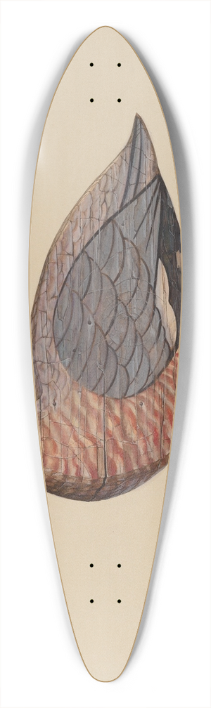 Samuel W. Ford - Decoy (Hudsonian Godwit) 39.3 inch art pintail longboard deck