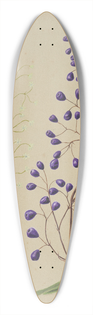 Sarah Featon - [Dianella intermedia (Ink plant) 39.3 inch art pintail longboard deck