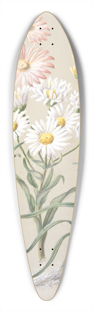 Sarah Featon - Dolichoglottis lyallii; Dolichoglottis scorzoneroides; (New Zealand snow groundsels) 39.3 inch art pintail longboard deck