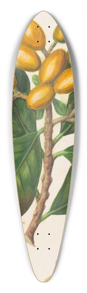 Sarah Featon - Karaka 39.3 inch art pintail longboard deck