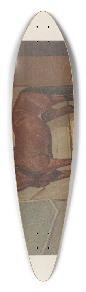 Scott Leighton - Clingstone 39.3 inch art pintail longboard deck