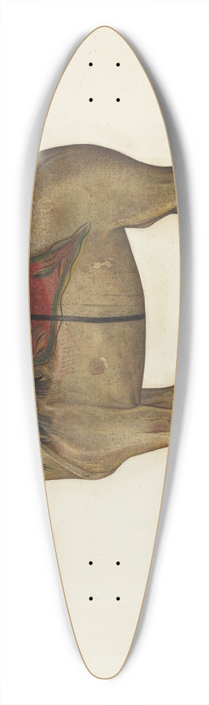 Selma Sandler - Toy Horse 39.3 inch art pintail longboard deck