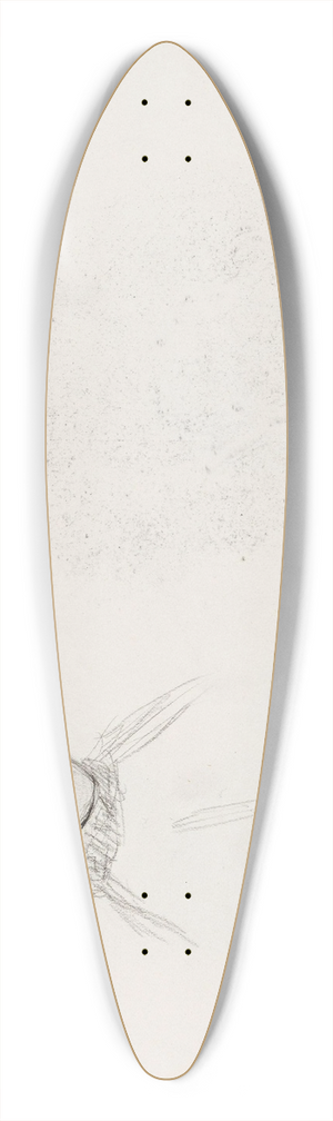 Signe Scheel - Kvinnehode 39.3 inch art pintail longboard deck