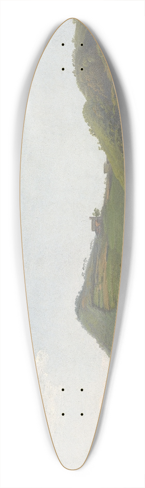 Simon Denis - View near Naples 39.3 inch art pintail longboard deck