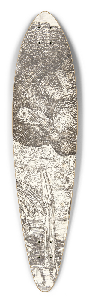 Simon de Vlieger - Fire kalkuner 39.3 inch art pintail longboard deck