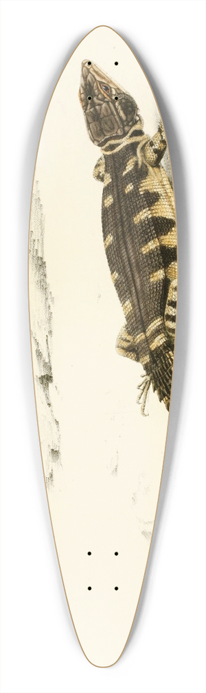 Sir Andrew Smith - Cordylus Microlepidotus 39.3 inch art pintail longboard deck