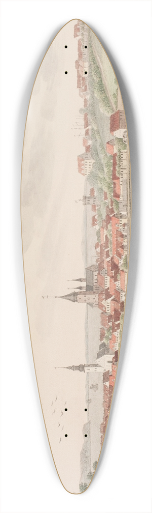 Sren L. Lange - Aarhus 39.3 inch art pintail longboard deck