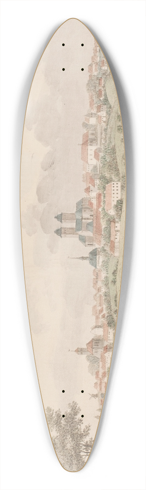 Sren L. Lange - Viborg 39.3 inch art pintail longboard deck