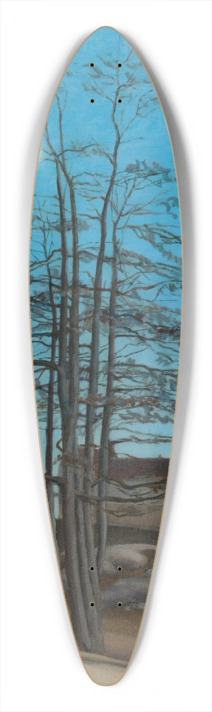 Sulho Sipil - Spring 39.3 inch art pintail longboard deck