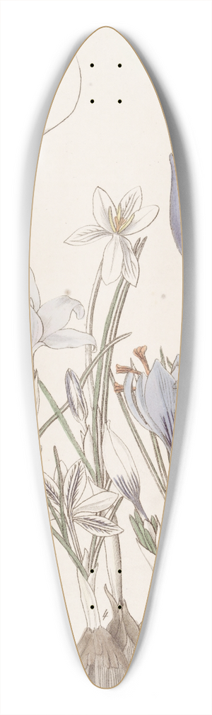 Sydenham Edwards - Autumnal Crocuses. 39.3 inch art pintail longboard deck