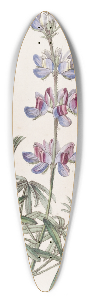 Sydenham Edwards - Branching Lupine 39.3 inch art pintail longboard deck