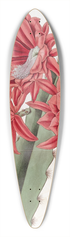 Sydenham Edwards - Brick-red hybrid Cactus 39.3 inch art pintail longboard deck