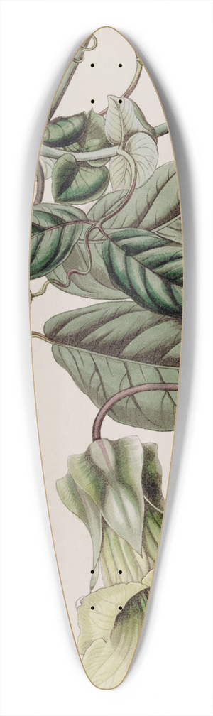 Sydenham Edwards - Changeable Cobaea 39.3 inch art pintail longboard deck