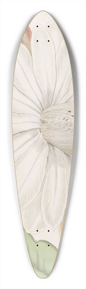 Sydenham Edwards - Crenated Torch Thistle 39.3 inch art pintail longboard deck