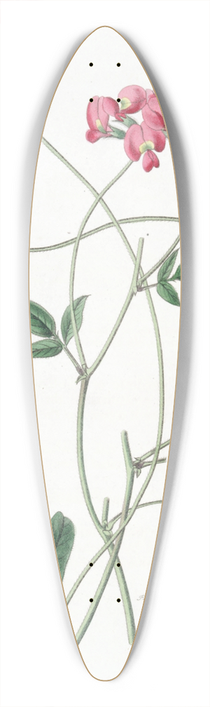 Sydenham Edwards - Dilated Kennedya 39.3 inch art pintail longboard deck