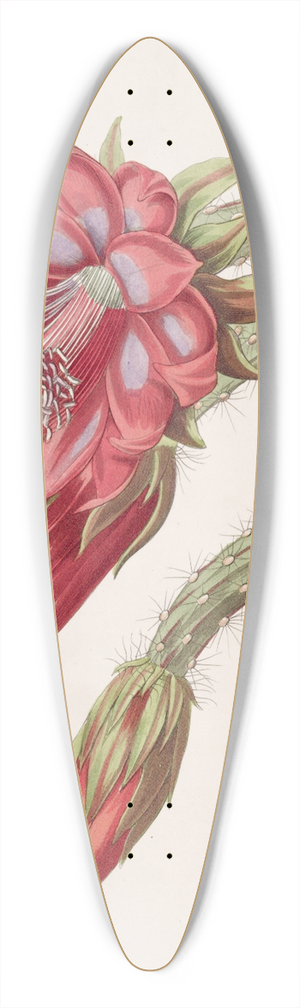 Sydenham Edwards - Garden Variety 39.3 inch art pintail longboard deck