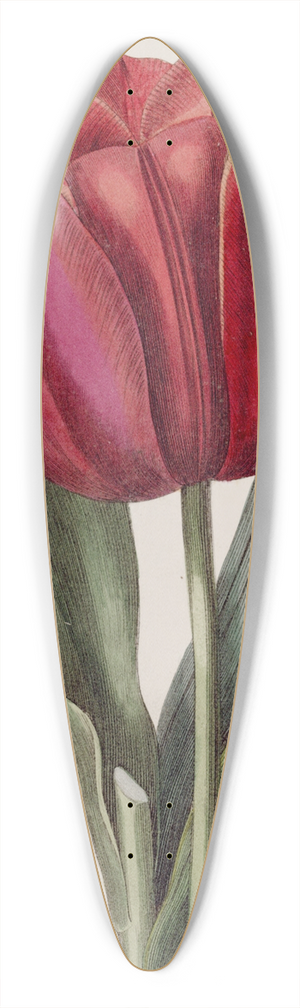 Sydenham Edwards - Gesners Tulip 39.3 inch art pintail longboard deck
