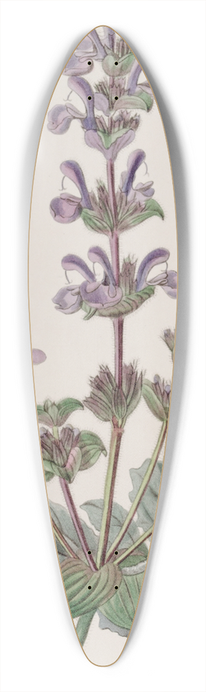 Sydenham Edwards - Hoary Sage 39.3 inch art pintail longboard deck