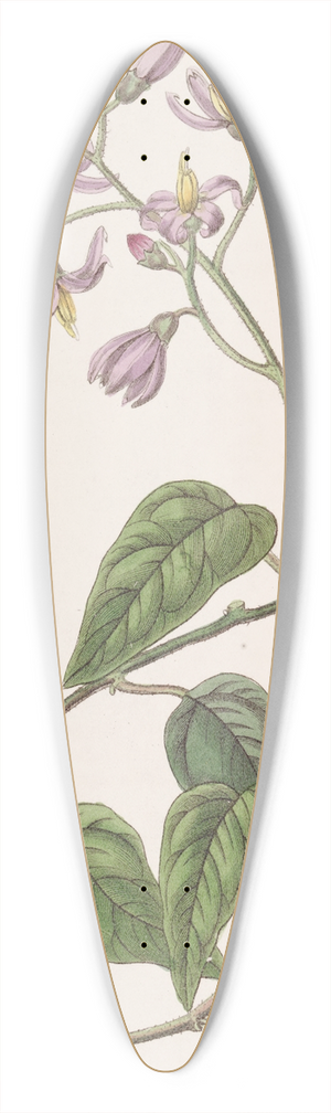 Sydenham Edwards - Hook-petalled Solanum 39.3 inch art pintail longboard deck