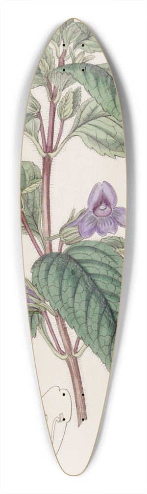 Sydenham Edwards - Large-flowered Wingpoint 39.3 inch art pintail longboard deck