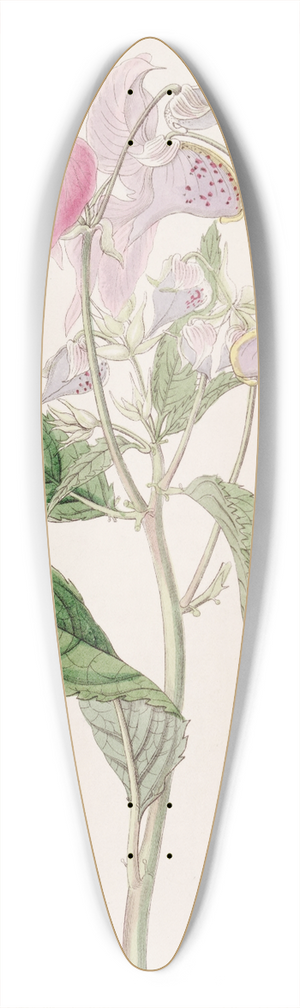 Sydenham Edwards - Large-lipped Balsam 39.3 inch art pintail longboard deck