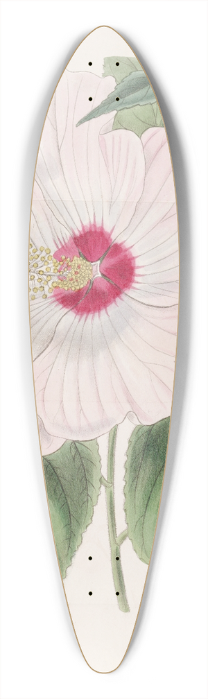 Sydenham Edwards - Musk Hibiscus 39.3 inch art pintail longboard deck