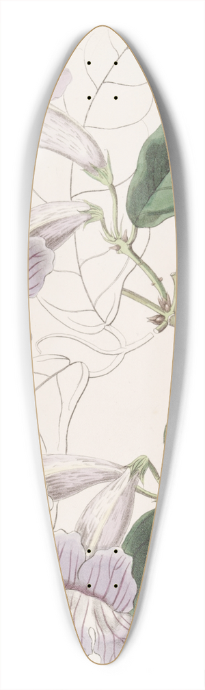 Sydenham Edwards - Painted Bignonia 39.3 inch art pintail longboard deck