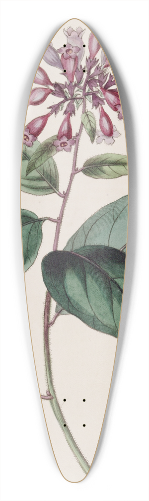 Sydenham Edwards - Purple Habrothamnus 39.3 inch art pintail longboard deck