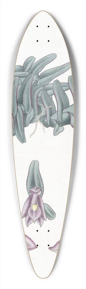 Sydenham Edwards - Purple Nanodes 39.3 inch art pintail longboard deck
