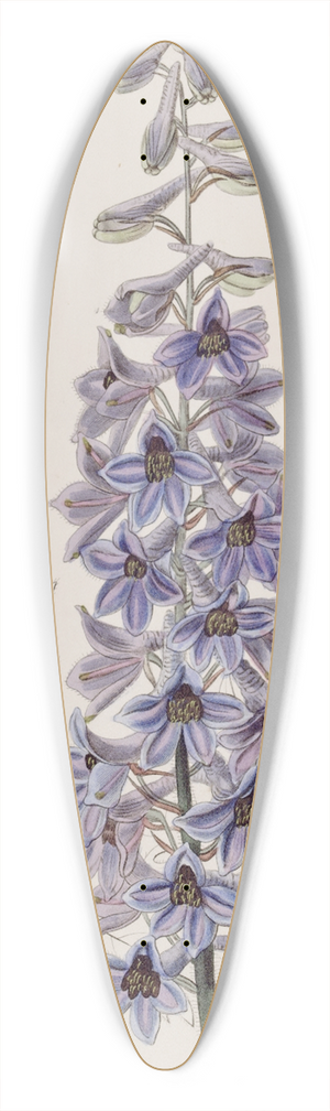 Sydenham Edwards - Sapphire-Blue variable Larkspur 39.3 inch art pintail longboard deck