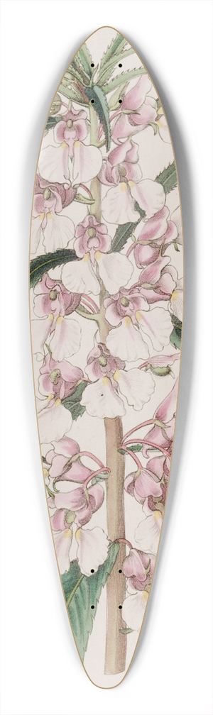 Sydenham Edwards - Small Pink Balsam 39.3 inch art pintail longboard deck