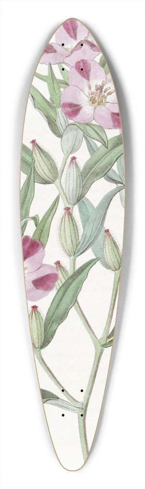 Sydenham Edwards - Smart Godetia 39.3 inch art pintail longboard deck