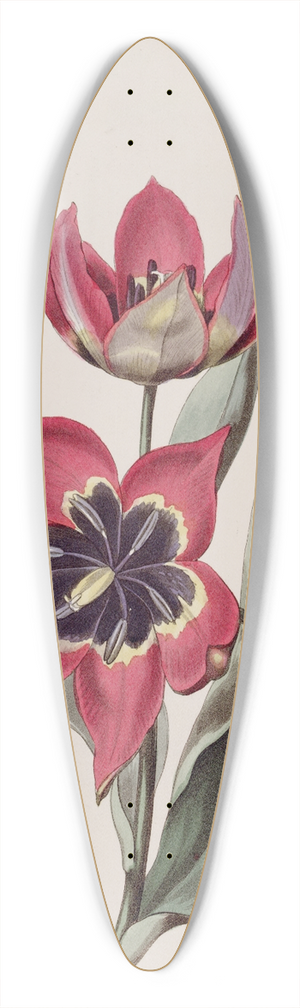 Sydenham Edwards - Strong-smelling Tulip 39.3 inch art pintail longboard deck