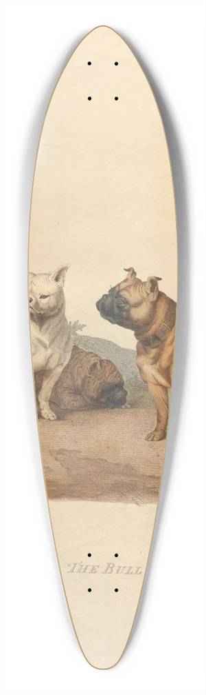 Sydenham Edwards - The Bull Dog 39.3 inch art pintail longboard deck