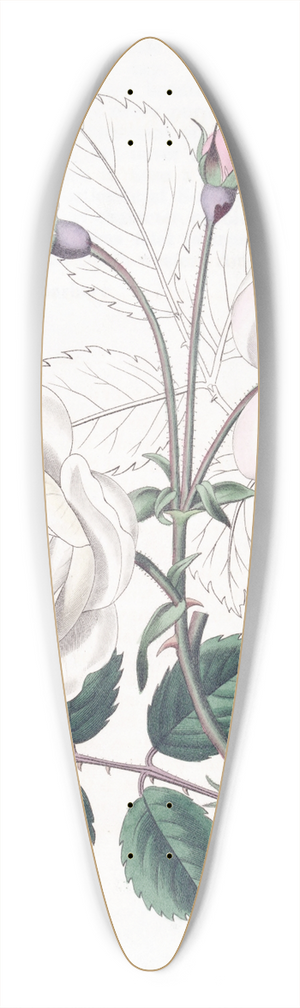 Sydenham Edwards - The Ruga Rose 39.3 inch art pintail longboard deck