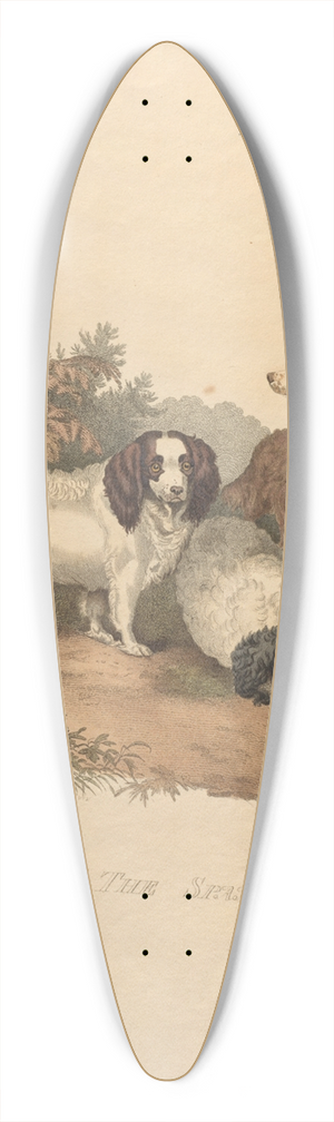 Sydenham Edwards - The Spaniel 39.3 inch art pintail longboard deck