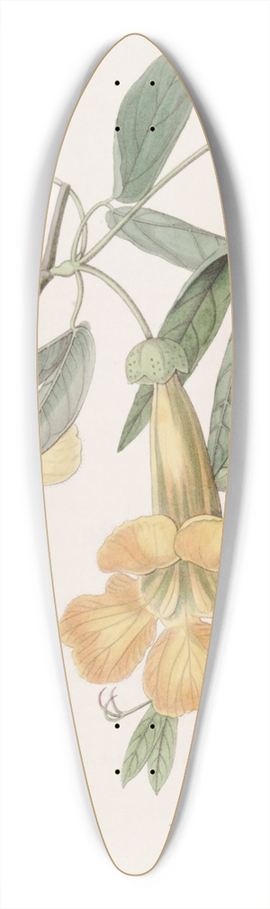 Sydenham Edwards - Tweedies Bignonia 39.3 inch art pintail longboard deck
