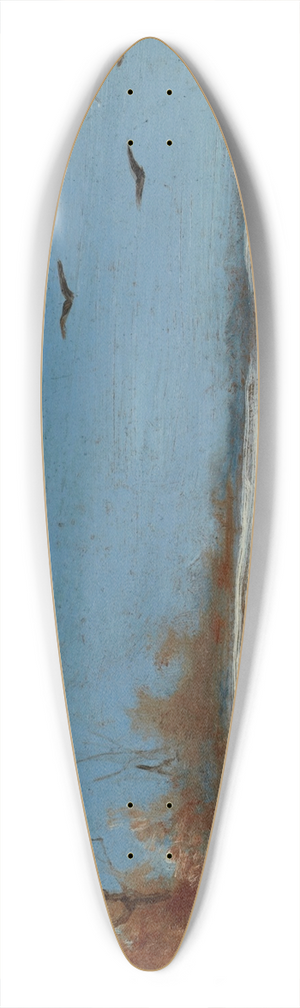 Teodor Marian Talowski - Sledging 39.3 inch art pintail longboard deck