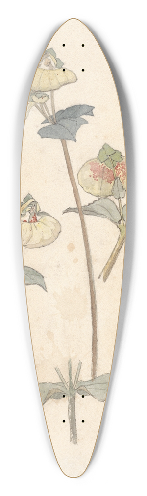 Theo Nieuwenhuis - Bloemstudies 39.3 inch art pintail longboard deck