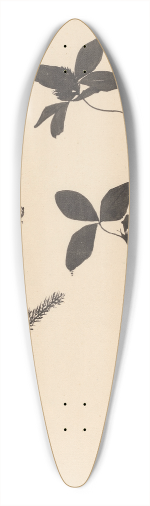 Theo Nieuwenhuis - Klaver en een andere plant 39.3 inch art pintail longboard deck