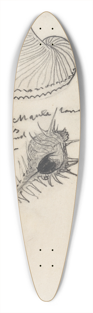 Theo Nieuwenhuis - Studieblad met drie schelpen 39.3 inch art pintail longboard deck