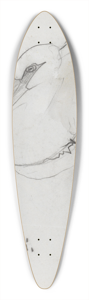 Theo Nieuwenhuis - Zuid-Amerikaanse ooievaar 39.3 inch art pintail longboard deck