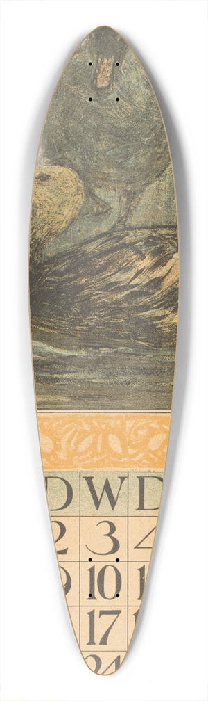 Theo van Hoytema - Kalenderblad februari met staande en zwemmende eend 39.3 inch art pintail longboard deck Theo van Hoytema - Kalenderblad februari met staande en zwemmende eend 39.3 inch art pintail longboard deck