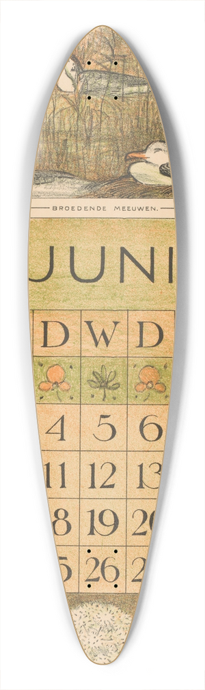 Theo van Hoytema - Kalenderblad juni met broedende meeuwen 39.3 inch art pintail longboard deck