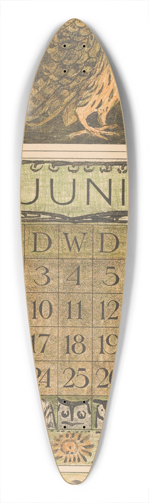 Theo van Hoytema - Kalenderblad juni met uilen en scholeksters 39.3 inch art pintail longboard deck