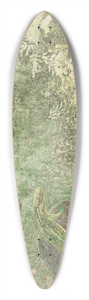 Theo van Hoytema - Lizard On A Stone 39.3 inch art pintail longboard deck Theo van Hoytema - Lizard On A Stone 39.3 inch art pintail longboard deck